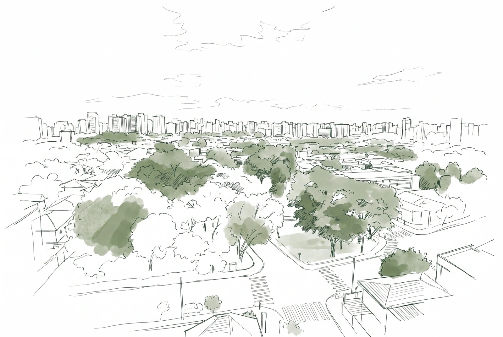 Rooftop line-art panorama of São Paulo — treetops in sage washes in the foreground, the skyline sketched across the horizon