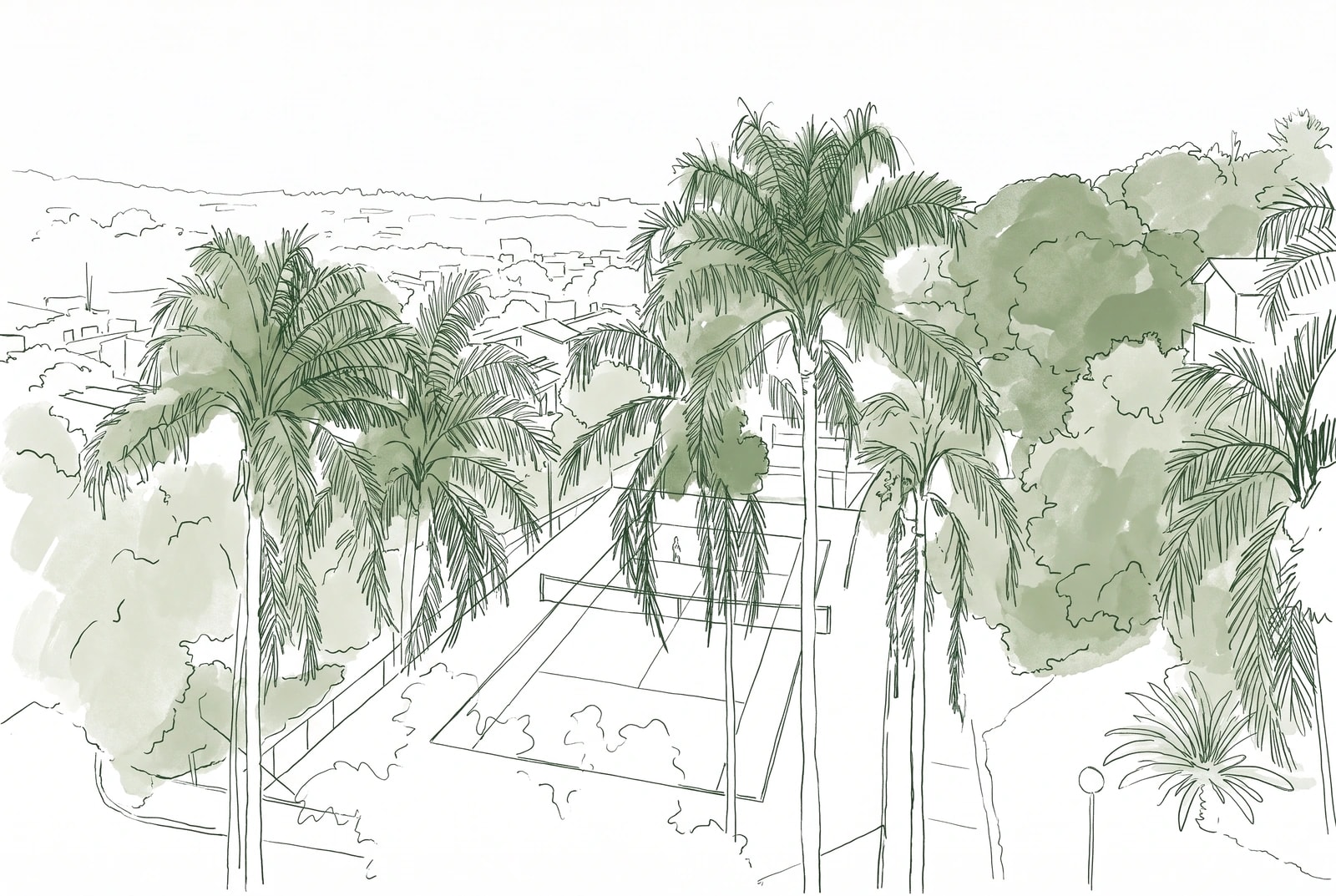 Loose forest-green line-art of Valinhos seen from above — royal palms around a sports court, the city stretching to the horizon